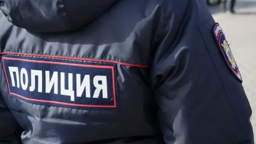Полиция Ярославля возбудила уголовное дело из-за жуткого видео с расправой над котенком