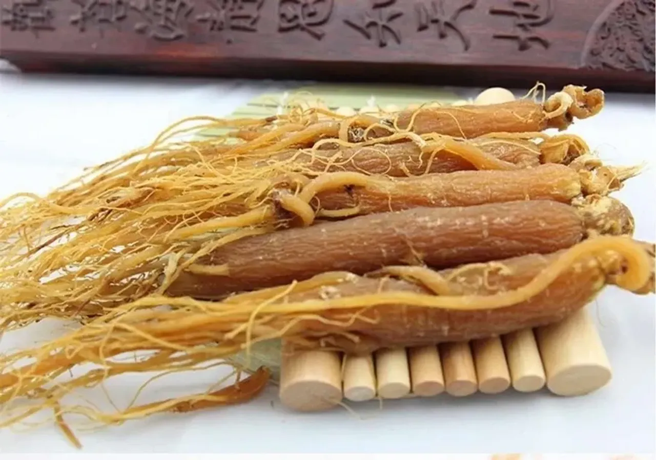 Солгар женьшень korean ginseng. Корень красного женьшеня корея. Красный жень шень. Красный жень шень. Красный жень шень.