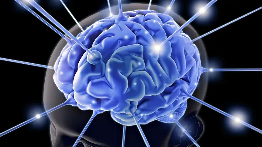 Ученые сообщили, что мозги людей, взаимодействующих друг с другом, синхронизируются