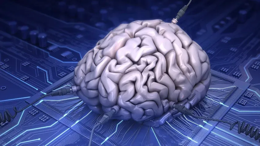 Neuron: Ученые провели серию опытов для изучения того, как мозг человека собирает информацию
