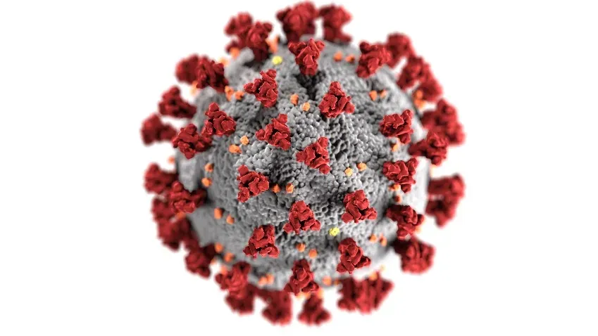 Биолог Баранова прокомментировала данные о способности Covid-19 вызвать СПИД