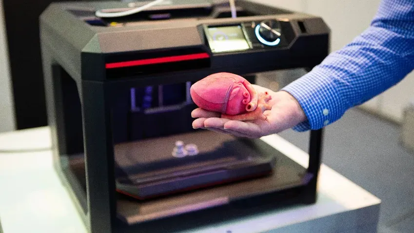 Студенты из Уфы разработали гель для 3D-печати органов
