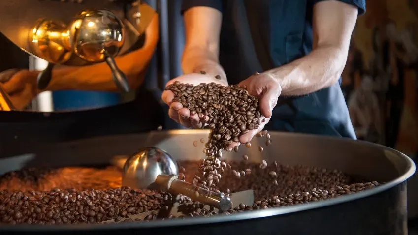 Tech Crunch: Green Coffee Co. в поиске $65 млн на расширение и запуск алкогольной линии