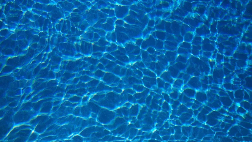 Ученые рассказали, зачем они 78 лет смотрят на воду