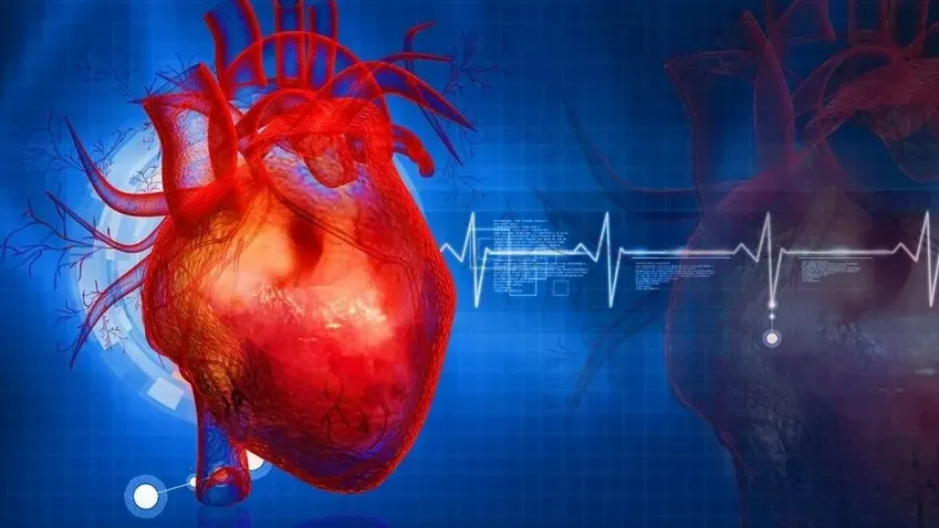 Стартап Cordio разработал приложение HearO, позволяющее выявить заболевания сердца на ранней...