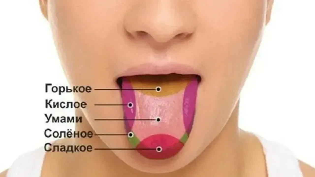 Эксфолиативный глоссит. Кислотный привкус во рту. Горечь во рту. Сухость во рту и кислый привкус. Солёный привкус во рту причины.