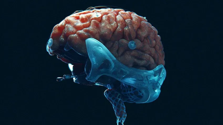 Ученые вырастили мозг-киборг из живых клеток человеческого мозга