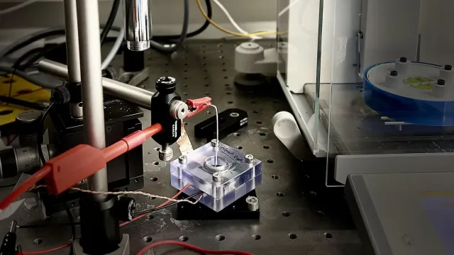 Учёные EPFL предложили способ генерации энергии из океанской воды