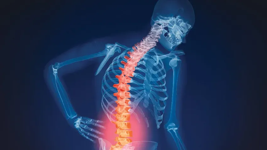 Уничтожающий постаревшие клетки препарат снимает боли в спине
