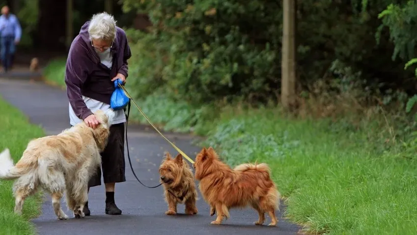 Ученые выявили связь наличия кошек и собак с пользой в борьбе с деменцией