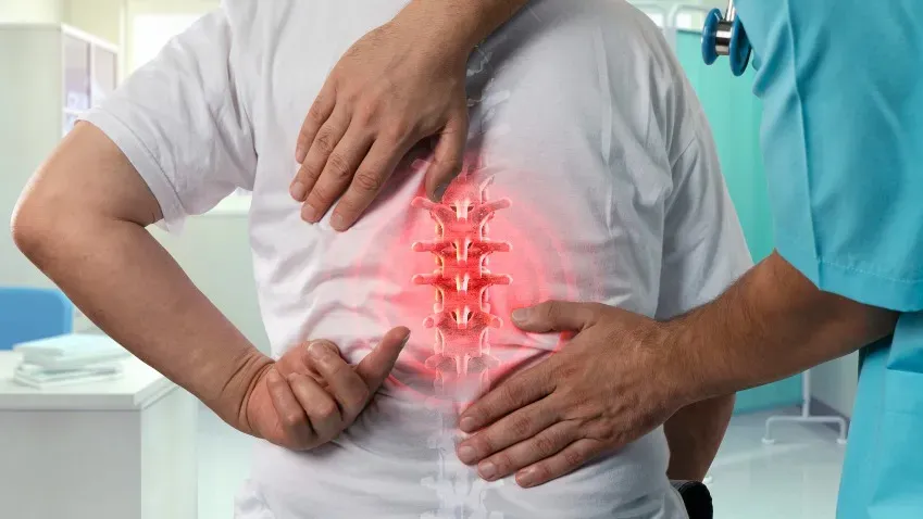 UTS: Технология "диск-на-чипе" обещает новые успехи в исследовании боли в спине
