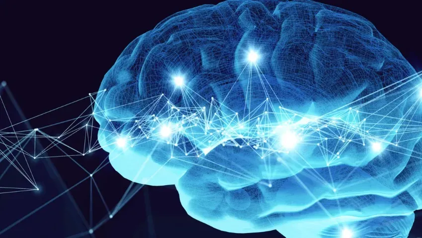 Ученые использовали волновую теорию для объяснения нейрохимического баланса в мозге