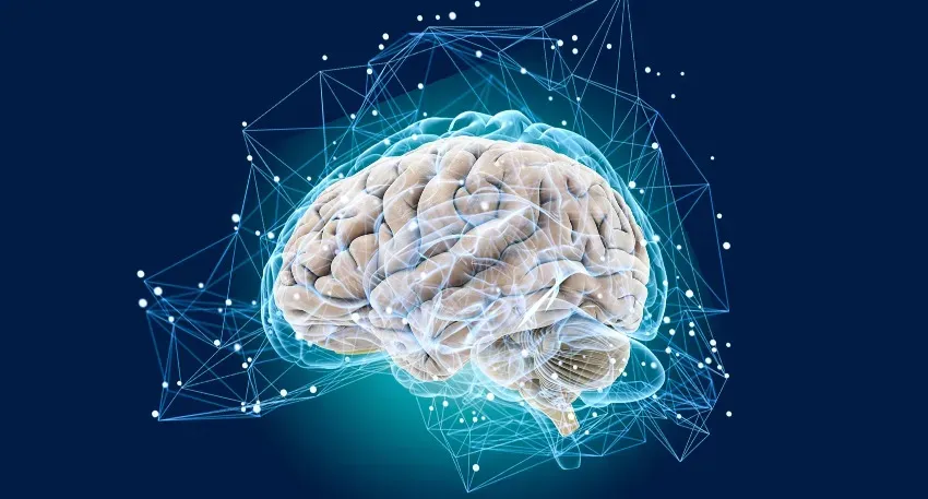 Ученые разработали метод сканирования и визуализации активности мозга и сосудов в реальном...