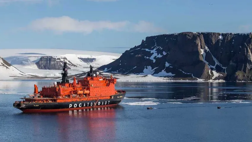 ТАСС: В водах около Земли Франца-Иосифа нашли арктического ицела и «шлемоносца»