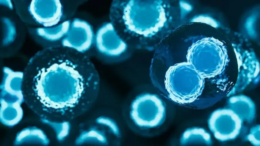 Nature: метод лечения лейкемии стволовыми клетками способен также подавлять ВИЧ