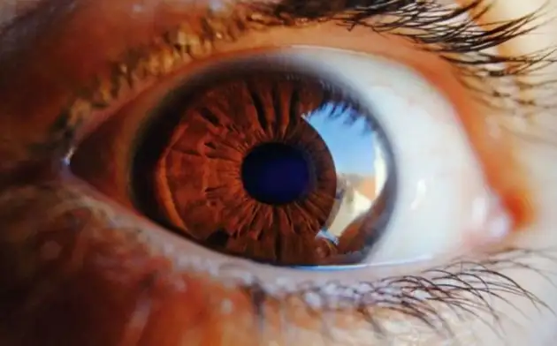 Учёные стимулируют сетчатку слепого глаза с помощью ультразвука
