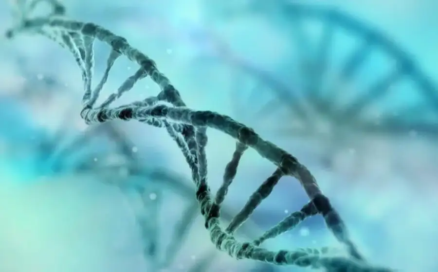 Учёные расшифровали полный геном человека
