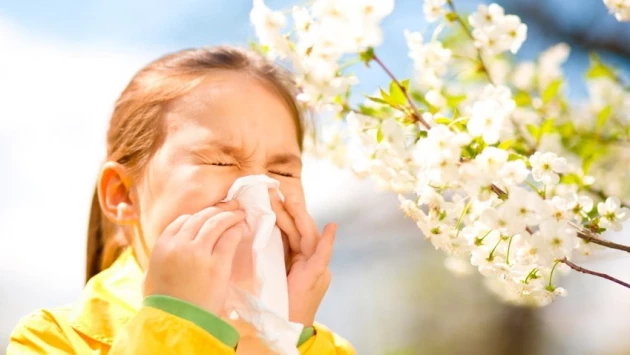 Аллерголог-иммунолог Джо Рид дал 8 советов по борьбе с весенней аллергией без лекарств