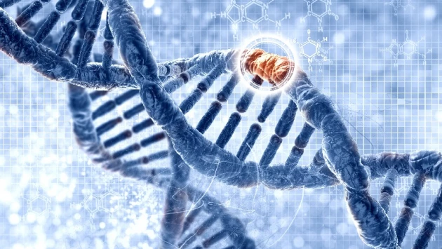 Удаление или замена ошибок в ДНК позволяет лечить некоторые генетические заболевания