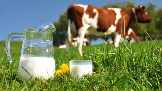 Ученые определили влияние токсичных соединений в почве и корме коров на вред молока