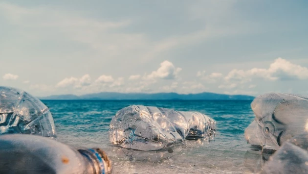 Морские животные заселяют плавающий в море пластик