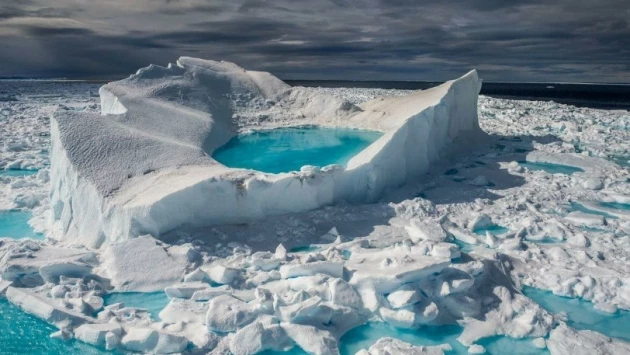 Пик ледяного покрова Арктики сократился на площадь, превышающую размеры Египта