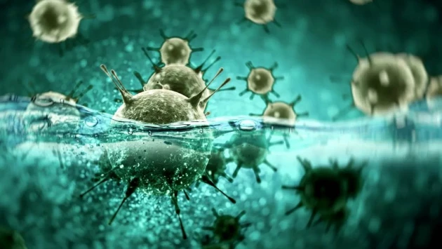 Обнаруженные в Мировом океане невиданные ранее вирусы прояснят происхождение герпеса