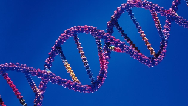 Nature: Древние вирусы из человеческой ДНК помогают в борьбе с раком легких