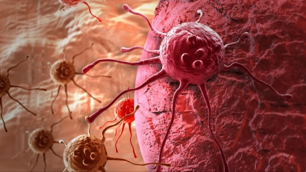 Ученые описали биомеханику проникновения клеток рака из первичного участка в другие органы