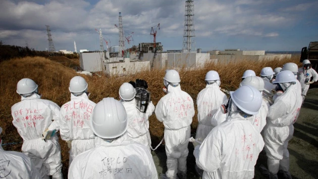 Ученые оценили риск мутаций из-за остаточной радиации после ядерной катастрофы на Фукусиме