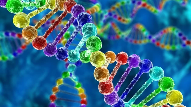 Выявлены наследуемые от матери редкие мутации ДНК, вызывающие врожденные заболевания и рак