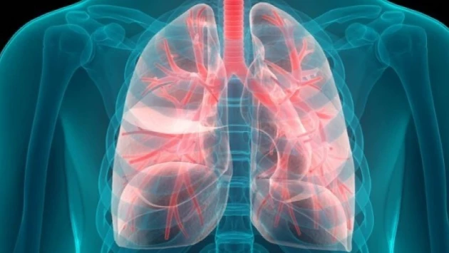 MedicalXpress: Ученые рассказали, как курение пациентов влияет на развитие рака легких
