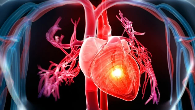 MF: Кардиолог Варфоломеев перечислил 3 способа снизить риск сердечных заболеваний
