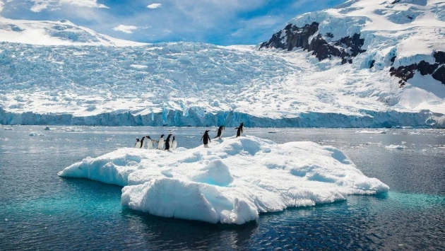 Daily Mail: таяние ледников Антарктиды угрожает существованию морской жизни