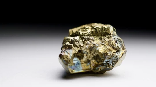 В Сибири открыли уникальный способ добычи золота при помощи бактерий