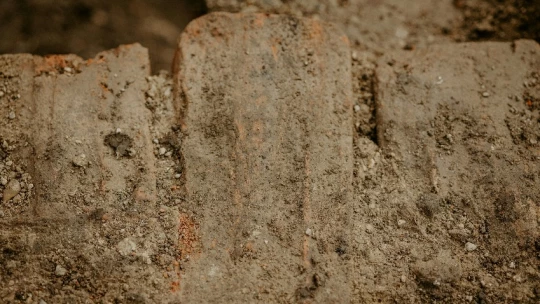 РИА Новости: Ученые изучают происхождение плиточных могил на Байкале