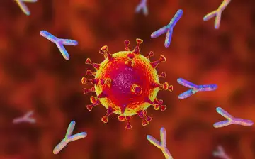 Учеными впервые была создана подробная карта имунной системы человека