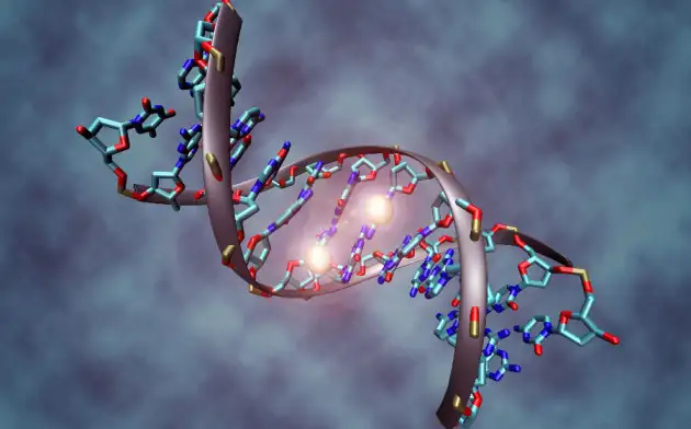 Ученые научились кодировать и редактировать информацию в ДНК