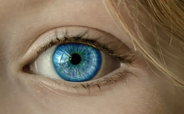 Генная терапия частично восстанавливает детям с дальтонизмом функцию колбочек глаз