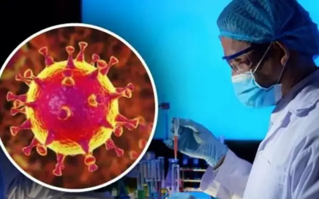 Учёные обнаружили уязвимое место всех штаммов коронавируса