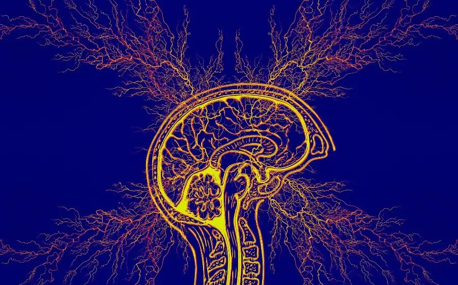 Искусственный интеллект может помочь в лечении эпилепсии