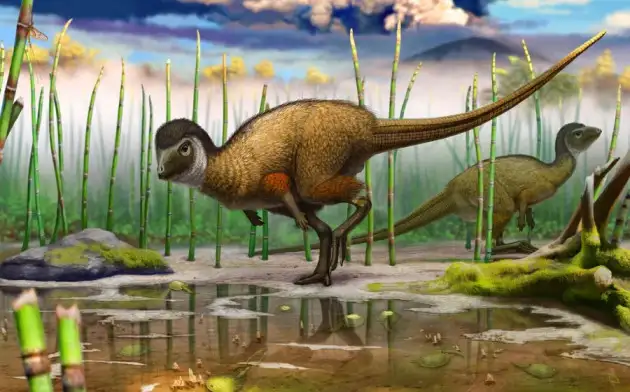 Китайские ученые заявили, что динозавры смогли выжить только за счет перьев