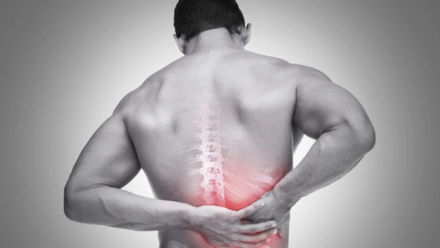 The Lancet: Устранение трех простых факторов снизит риск болей в спине человека на 39%