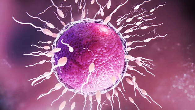 Nature: Ученые нашли причину изменений в сперме, которая приводит к мужскому бесплодию