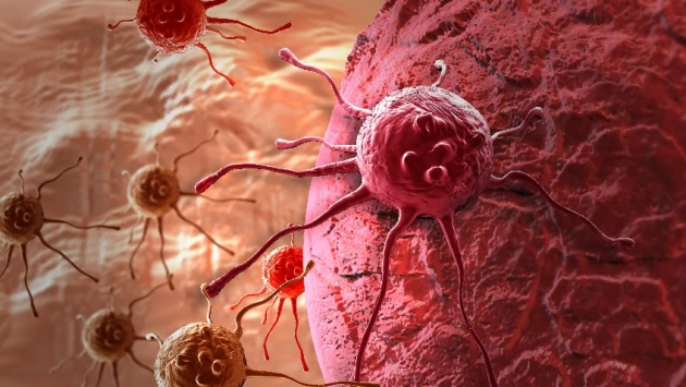Cancer Research: ученые из США обнаружили белок для усиления противораковой терапии