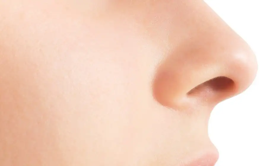 JACI: исследователи выяснили, при каких условиях нос эффективнее противостоит вирусам