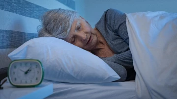 Ученые разделили жизнь человека на 3 цикла в зависимости от продолжительности сна