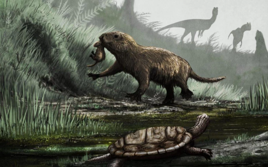 Science Advances: учёные ответили, почему динозавры исчезли, а млекопитающие остались