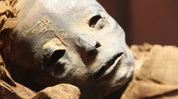 На археологических раскопках в Египте обнаружены мумии с золотыми языками