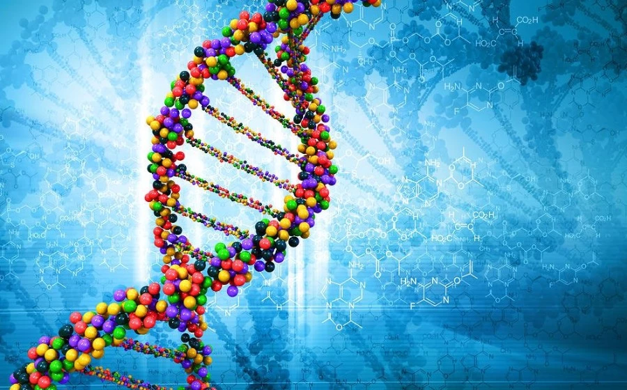 Nature: учёные обнаружили генетические совпадения некоторых психических заболеваний